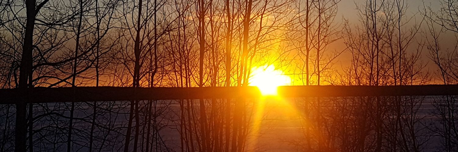 StephSuddz's profile banner image