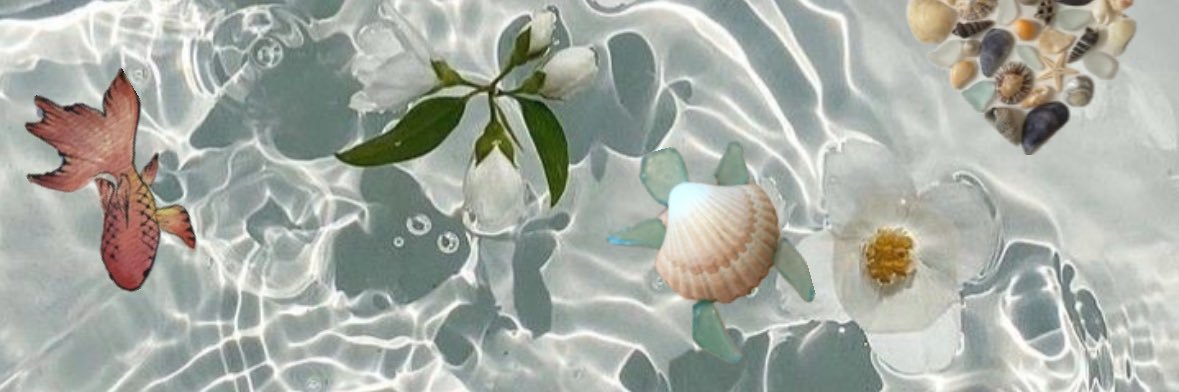 CatDang_'s profile banner image