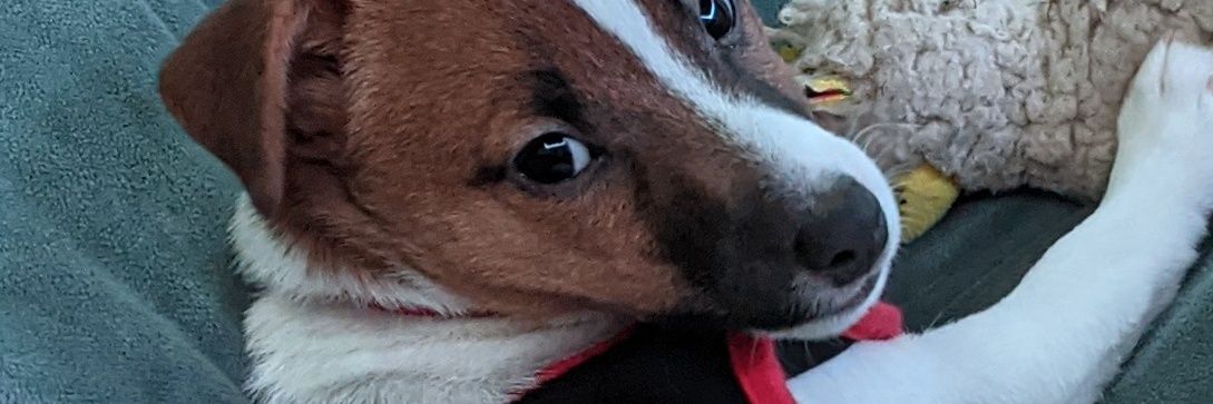 benjammin2011's profile banner image