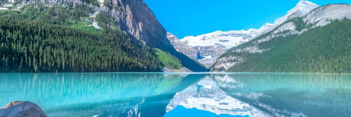 Chelan Simmons banner