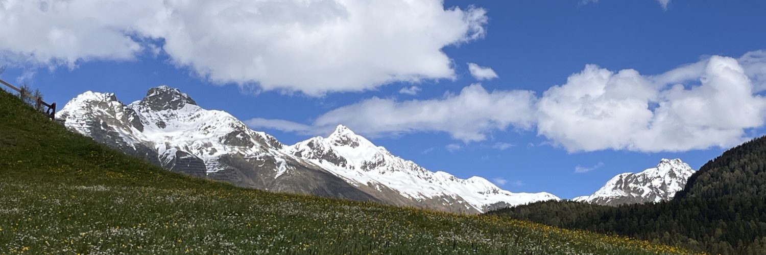 Cati 🐞🌻⛰🥾🐞 banner