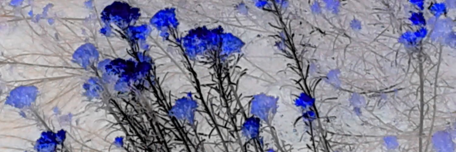 DDJugz's profile banner image