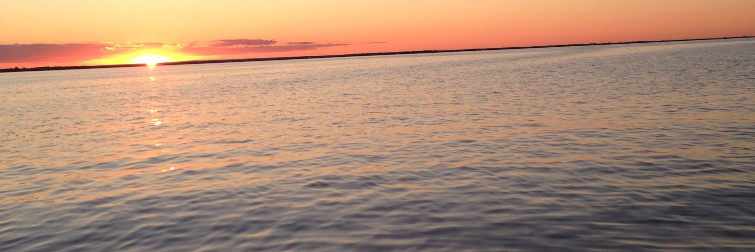 _torilynn4's profile banner image