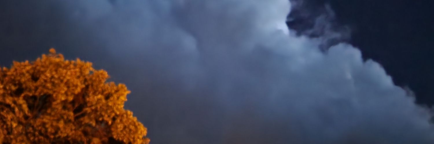 joifoutch's profile banner image