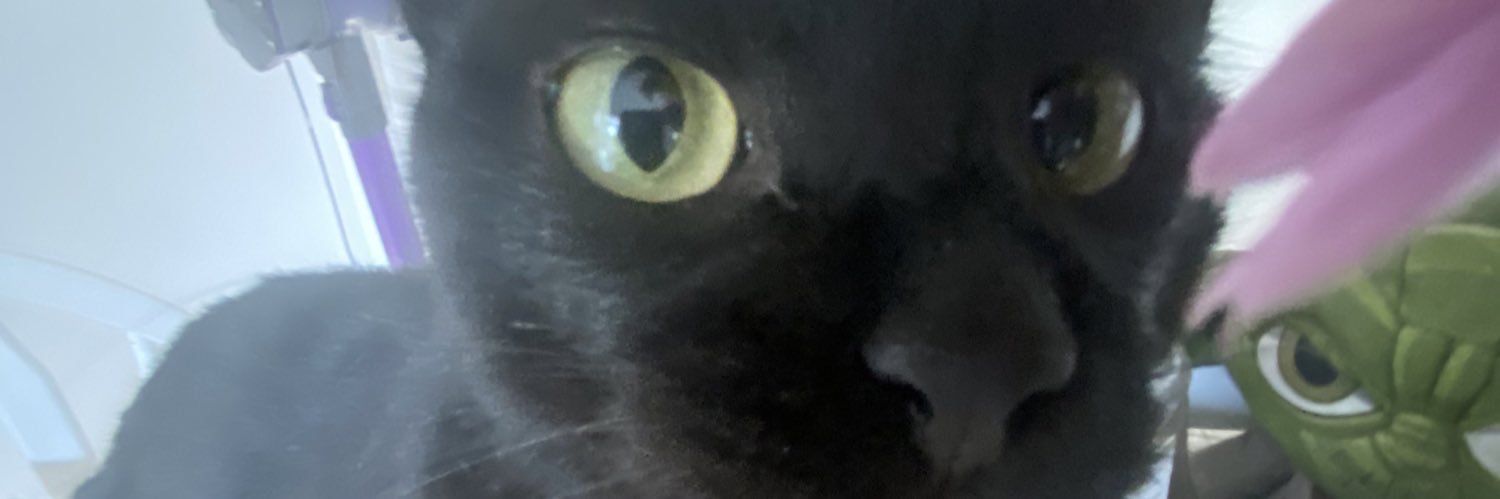 chaarliesmith_'s profile banner image