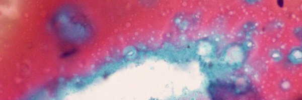 PathologyKate Profile Banner
