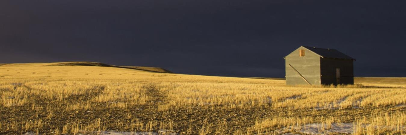 Mennocostal's profile banner image