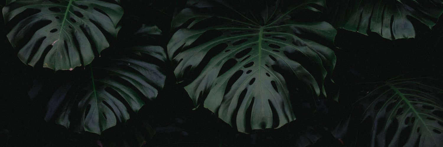 timberfen's profile banner image