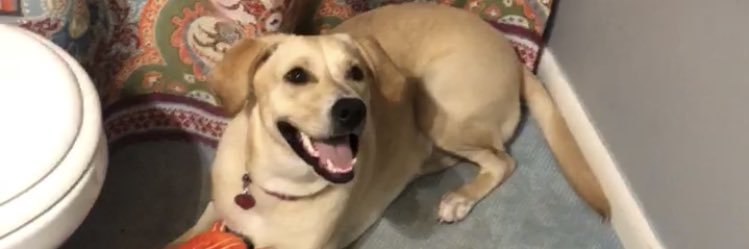Bitchkins1's profile banner image