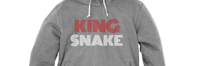 KingSnakeAppare's profile banner image