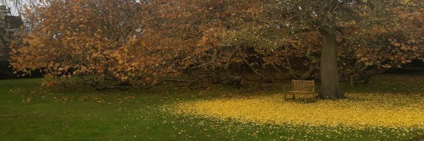 ath_bakalakos Profile Banner