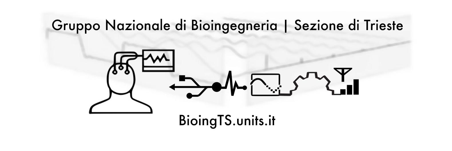 BioingTS banner