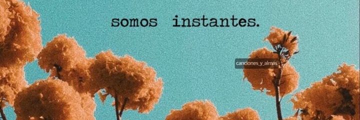 MLeaCaballero's profile banner image