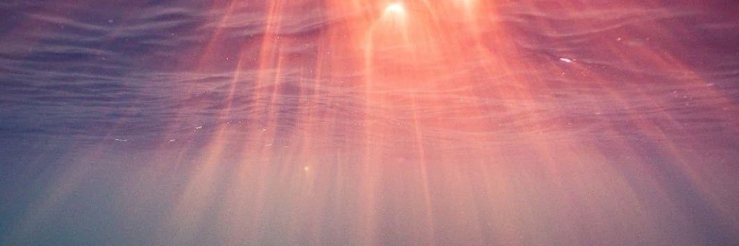 melannetastic's profile banner image