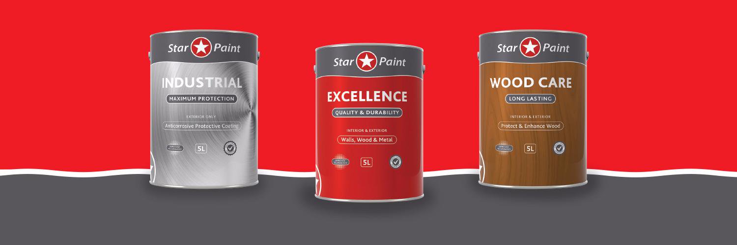 Star Paint banner