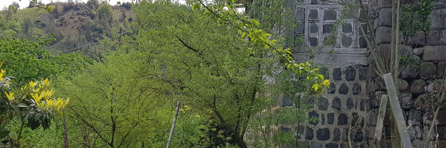 senngul's profile banner image