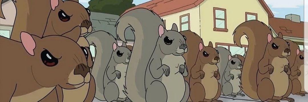 msquirrel20's profile banner image