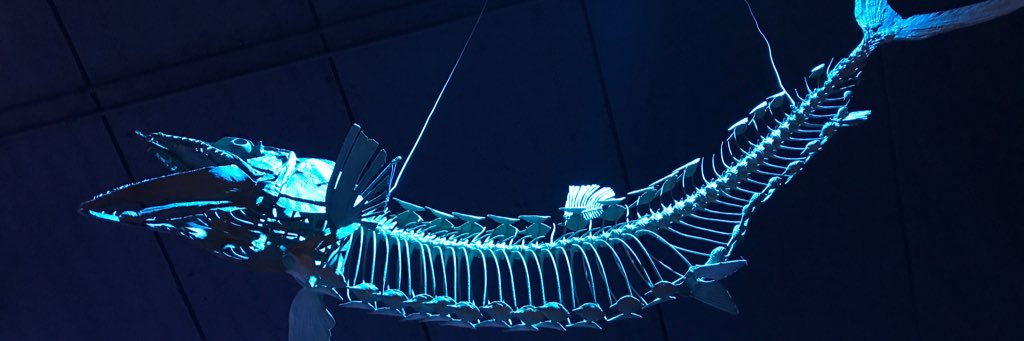 alex_walker86's profile banner image