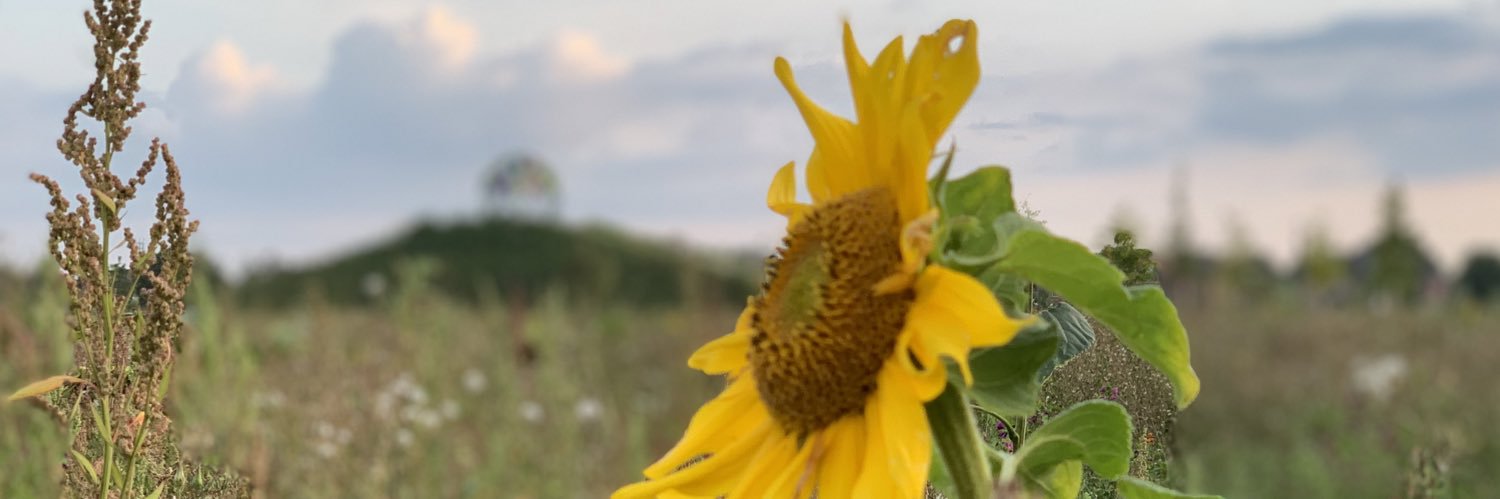 ivalo_sn's profile banner image