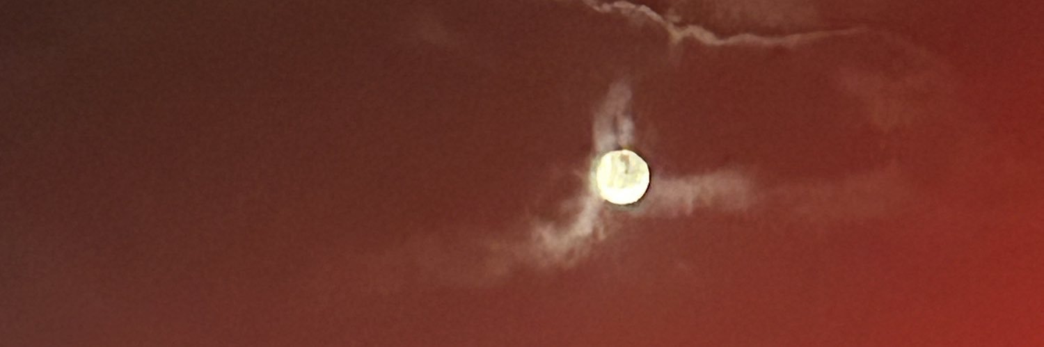 XavierMcgee_'s profile banner image