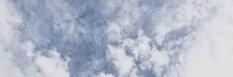 P. banner