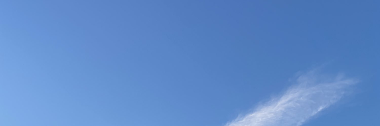 farfalllle's profile banner image
