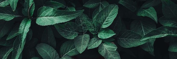 arishkinz's profile banner image