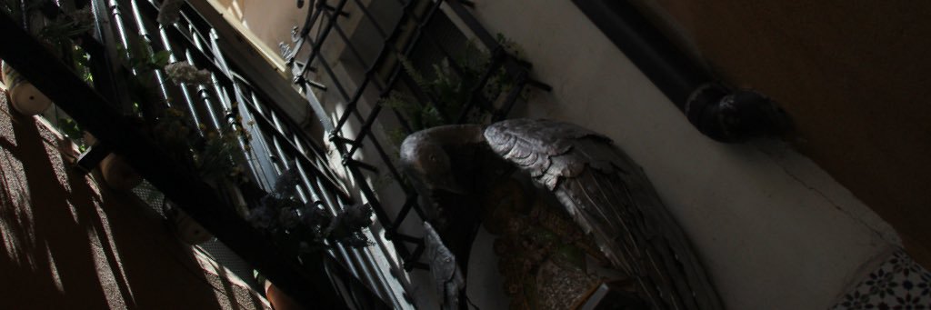 NateNck's profile banner image
