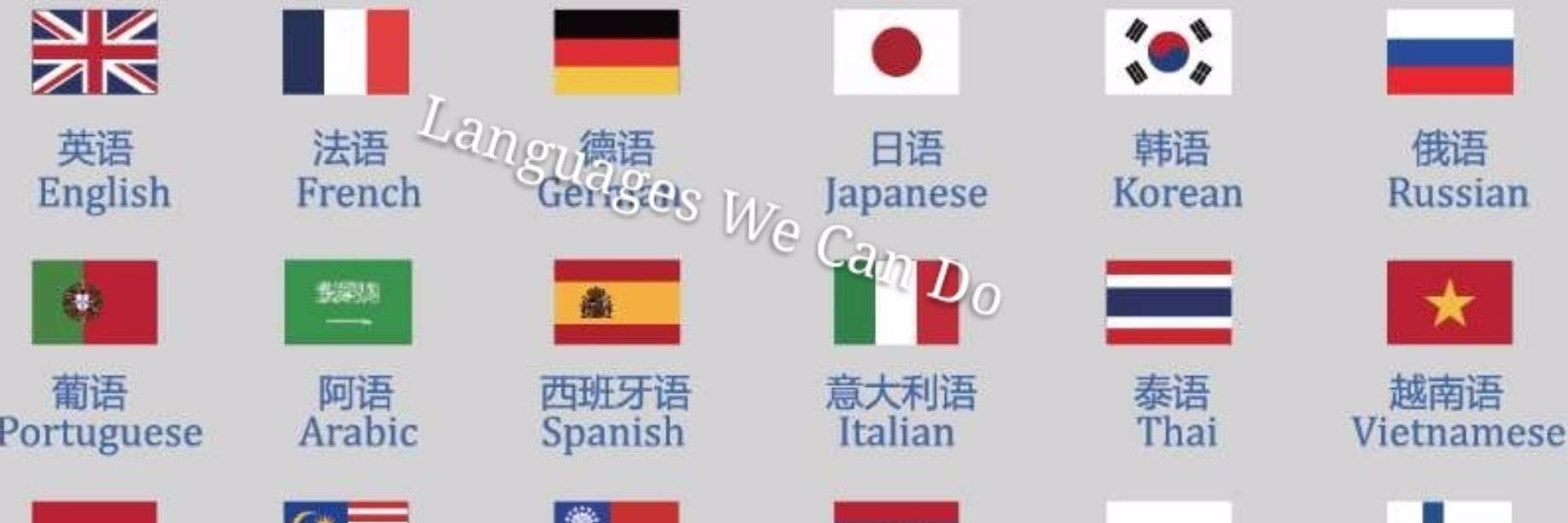 Hansi Transplus banner