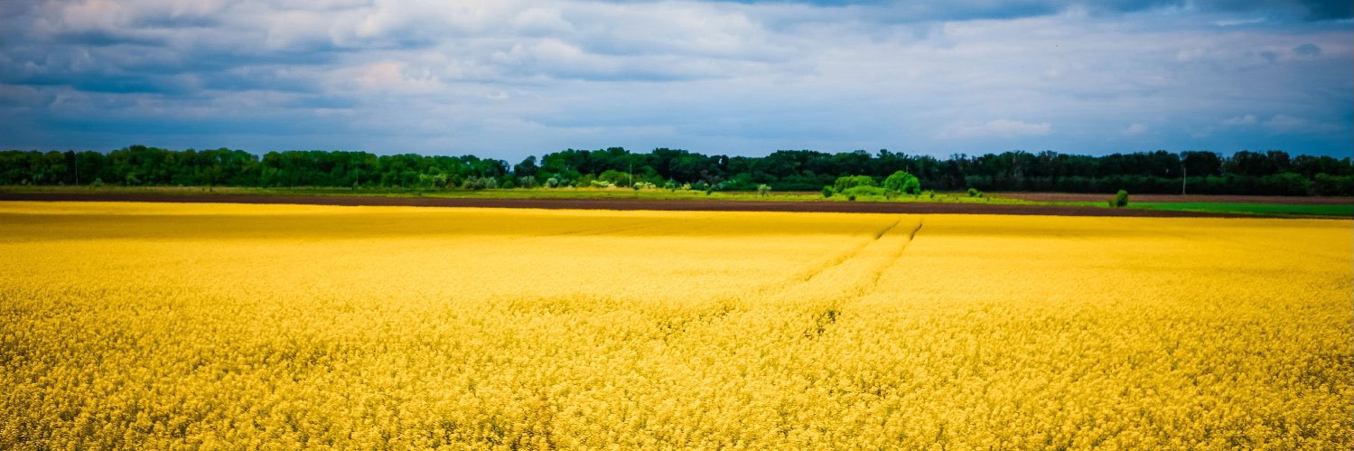 Furious Starwaster banner