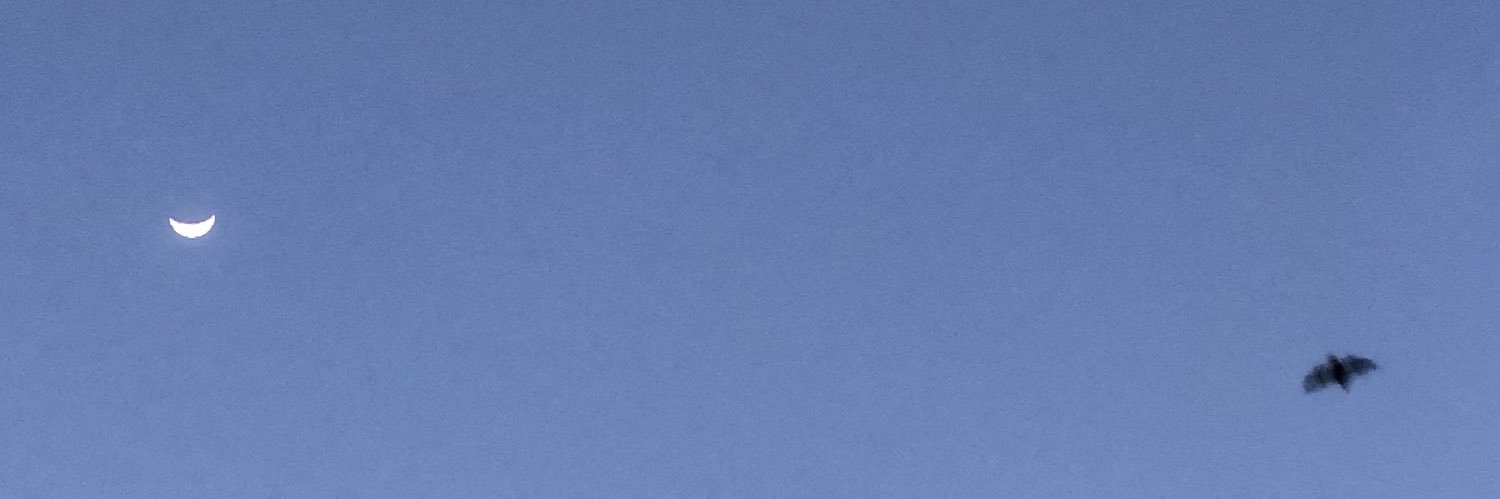 .☾ banner