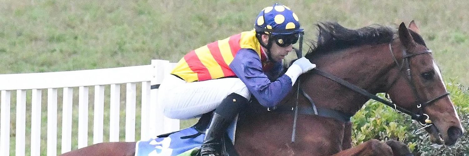 Blake Stothart banner