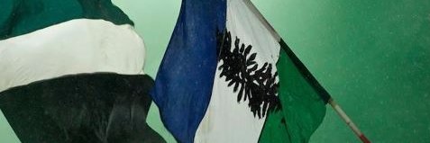 tleebard's profile banner image