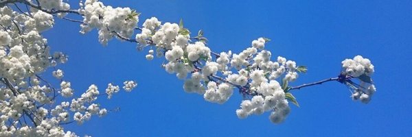 EU_RDI_LifeSci Profile Banner