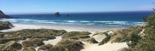 Frog_squisher Profile Banner