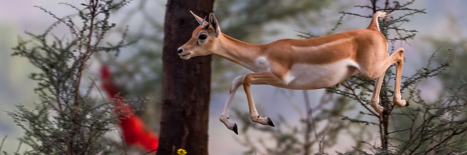dearkumarmukesh's profile banner image