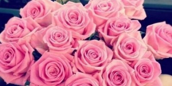 septi_eka28's profile banner image