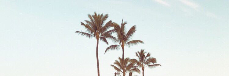 maddiebennett1's profile banner image