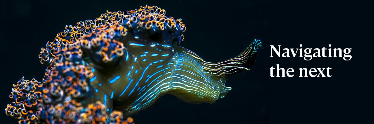 Frédérique Joos banner