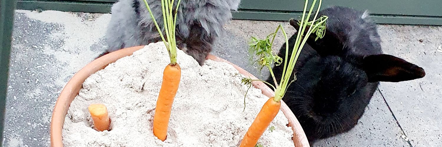 fluffykonijn's profile banner image