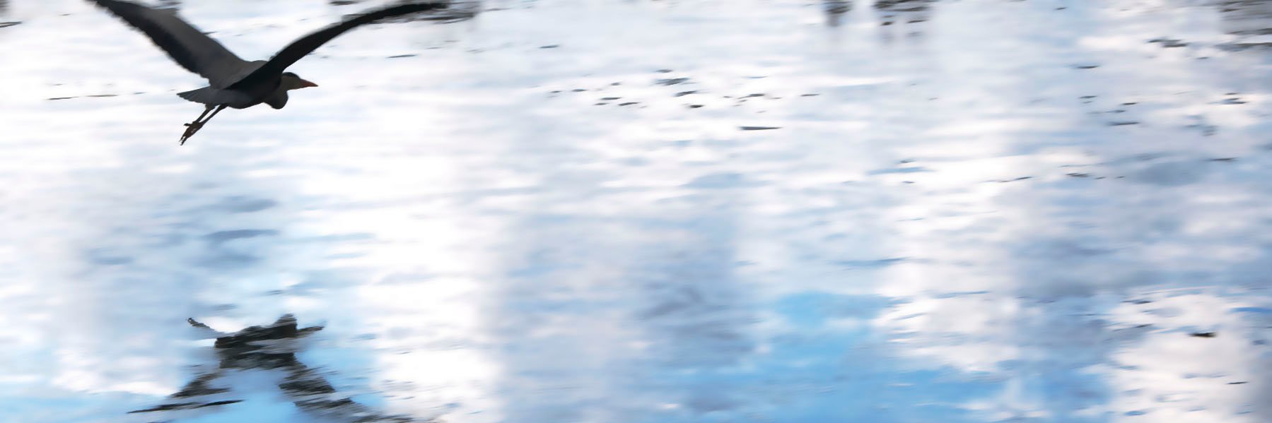 Boorder's profile banner image