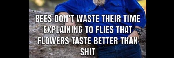 Psygrav Profile Banner