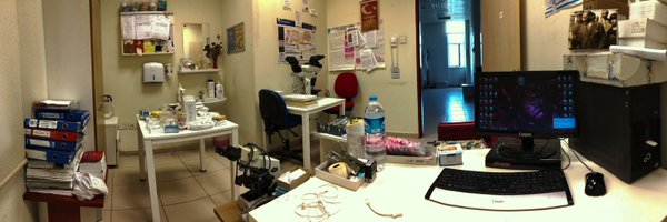 Pathology36 Profile Banner