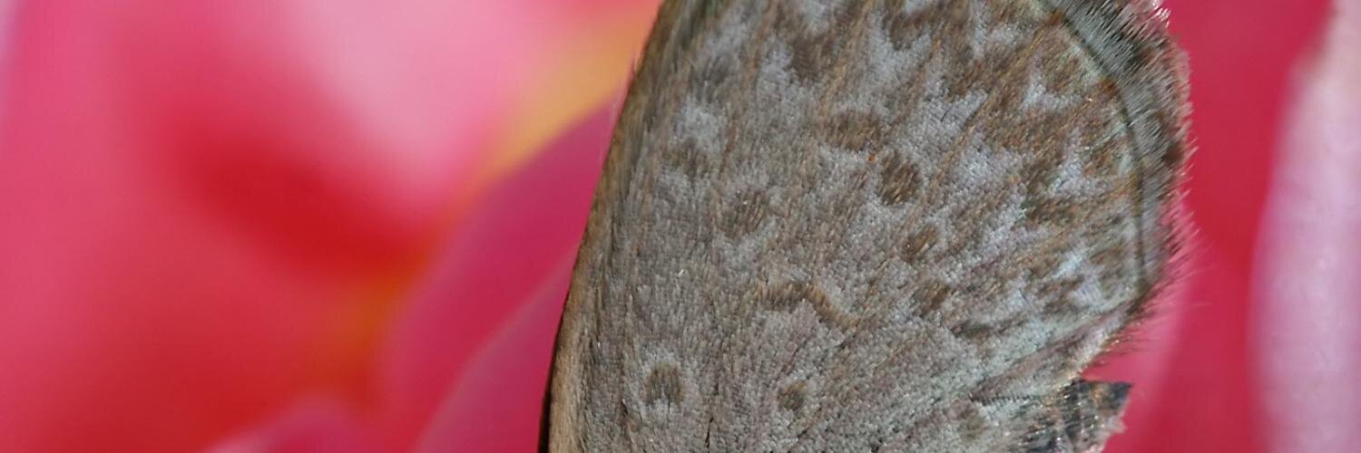 mfb's profile banner image