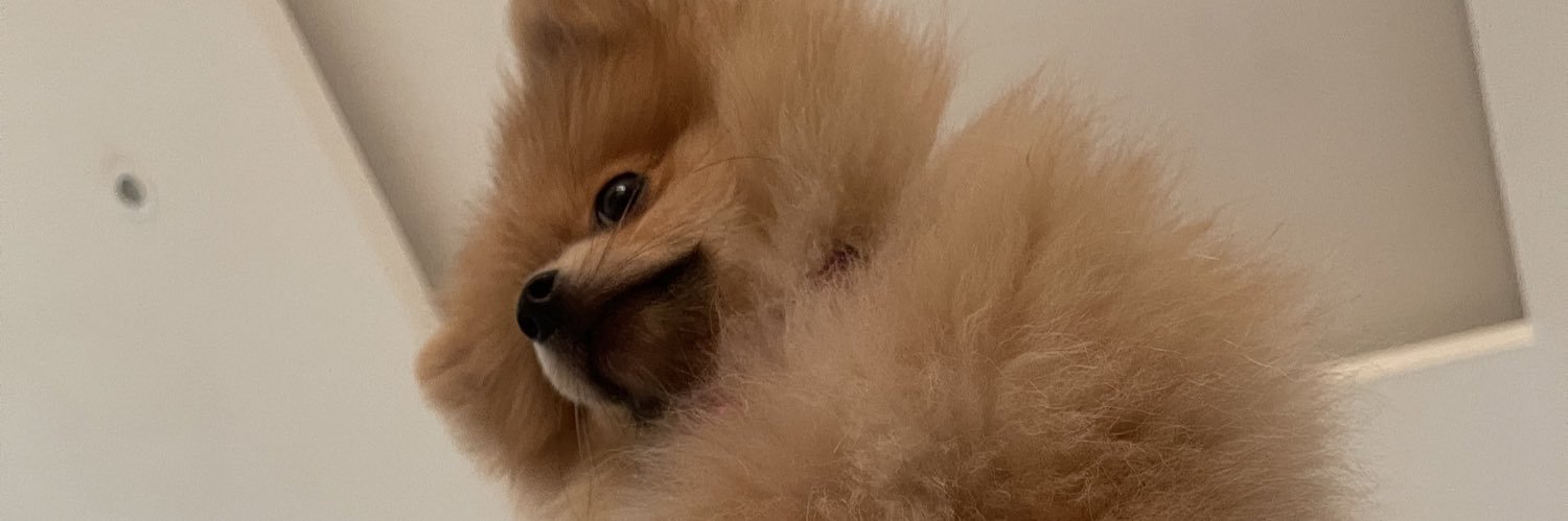 𝐂𝐀 banner