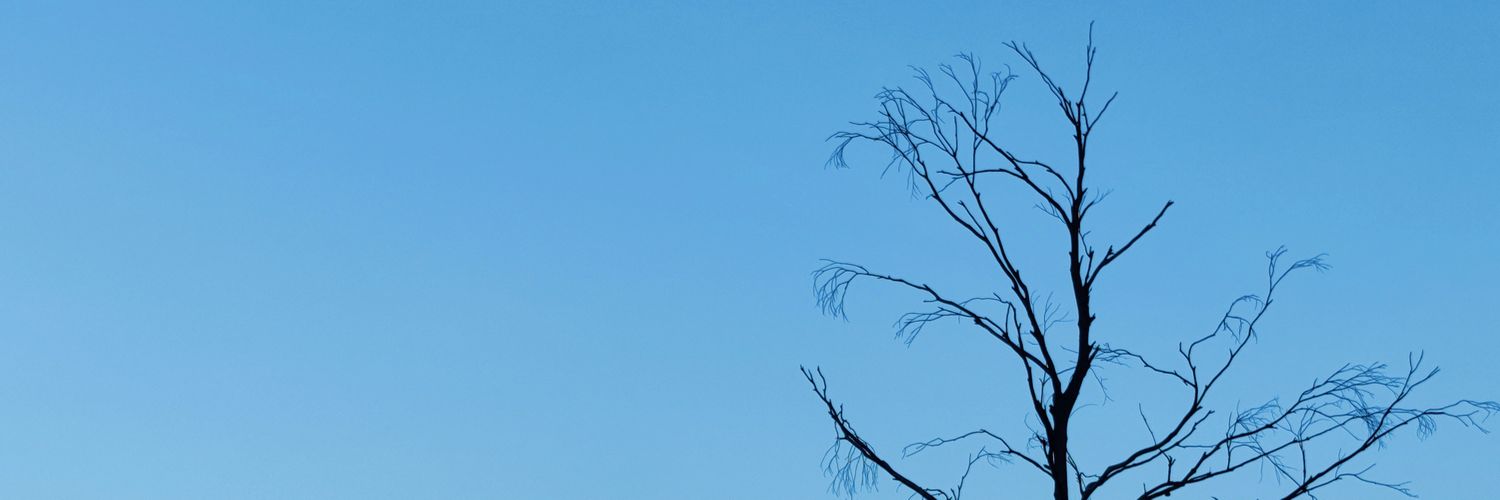bhavya1600's profile banner image