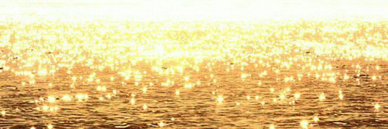 TarahTHunter's profile banner image