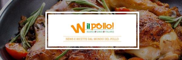 _Vivailpollo Profile Banner