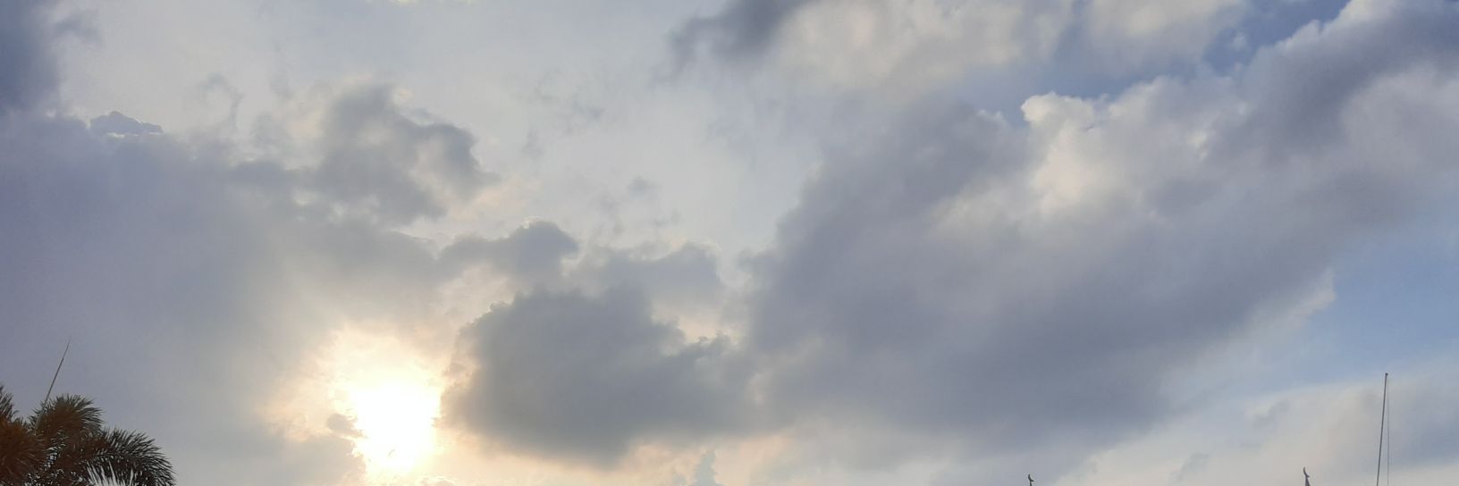 misseldec's profile banner image