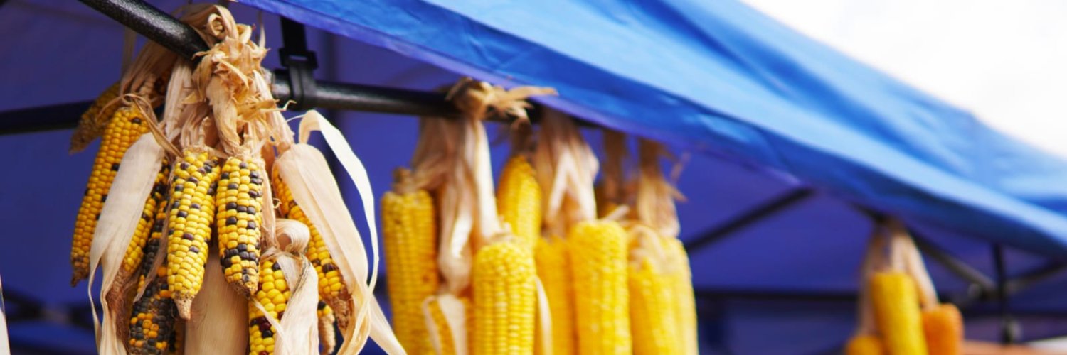 Heñói Centro de Estudios banner